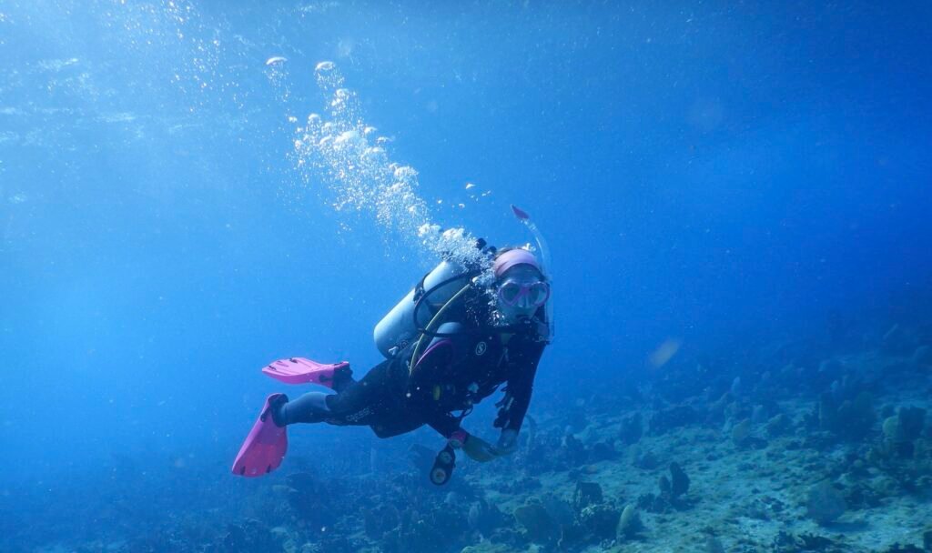 3d4264da d076 47ca 950d 38f92fe21b51 1 201 a