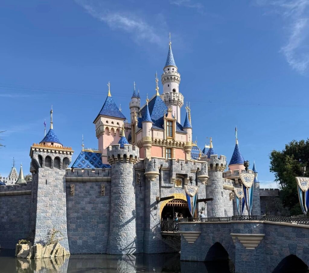 517242760 10230755712904056 1404160774902315334 n copy