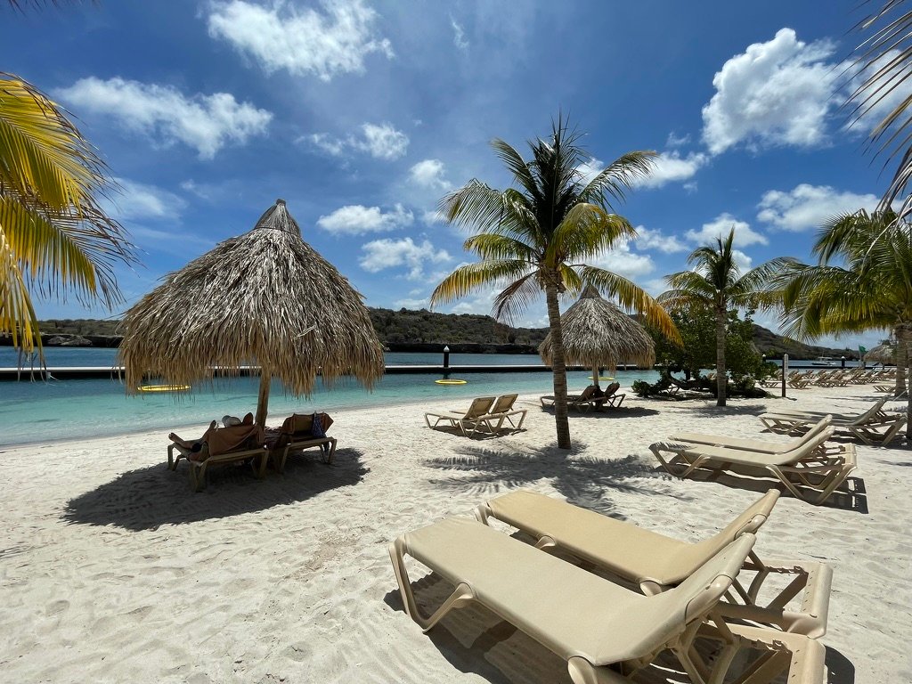 bf549974 eb04 45dd 8374 669e51c9c7bc 1 105 c